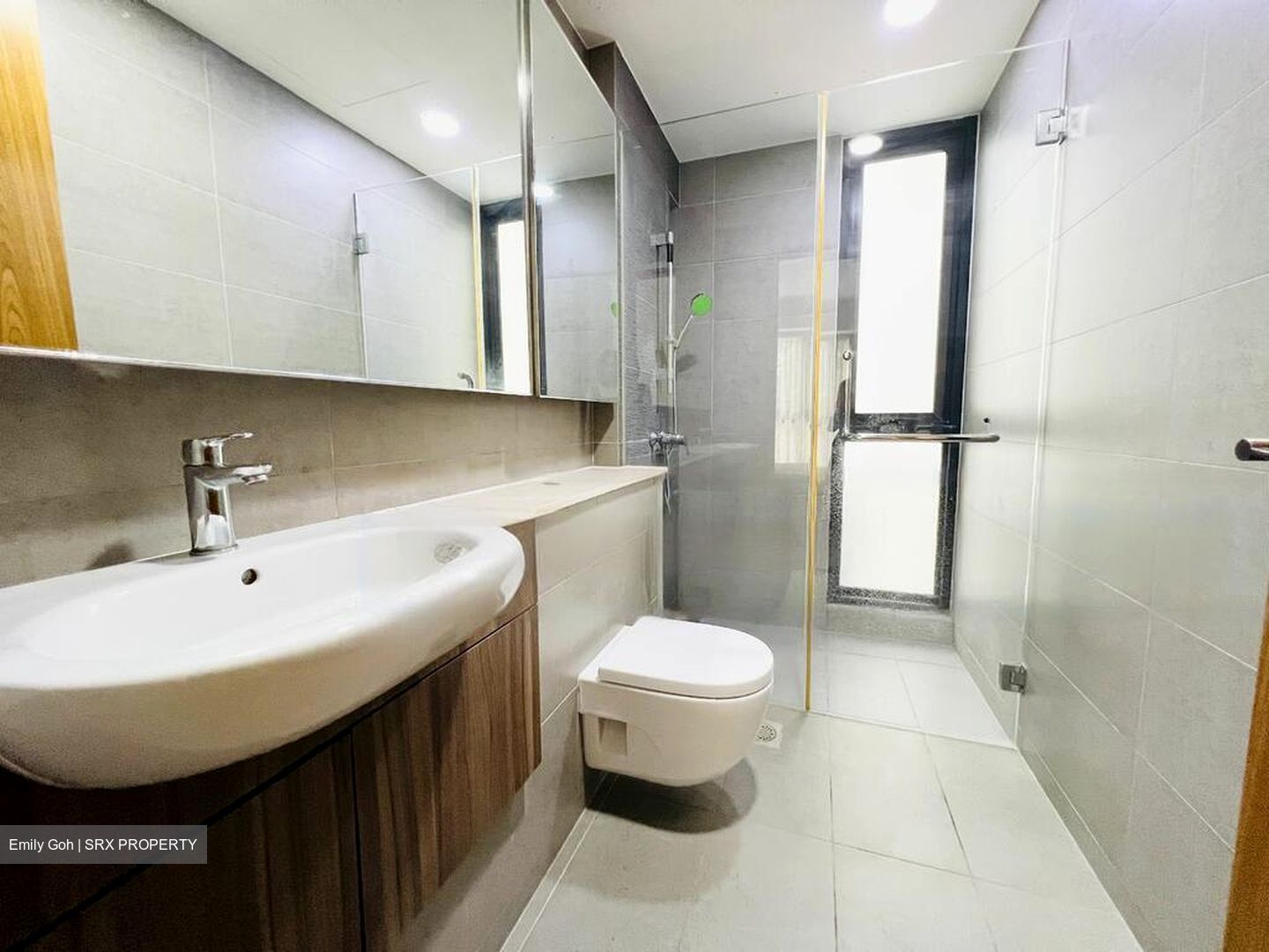 Waterbank at Dakota (D14), Condominium #481807531